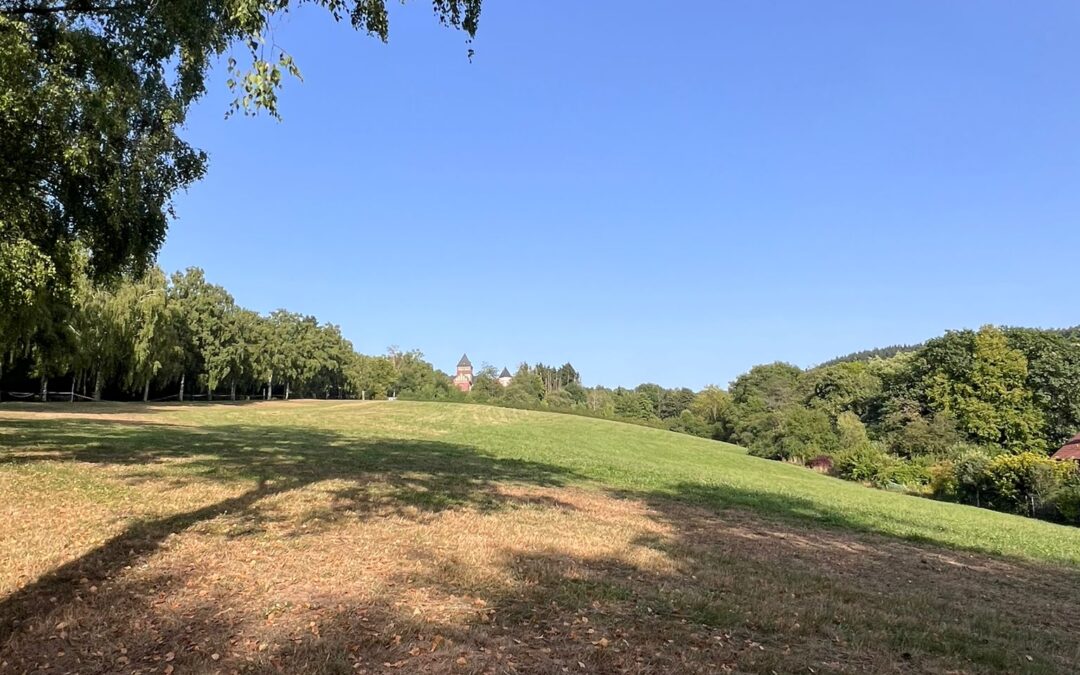 Landkreis und Stadt St. Wendel im Widerspruch?